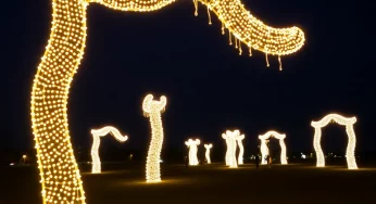 Exciting Events in Shreveport: Art Exhibits, Live Music, and Holiday Festivities Await!