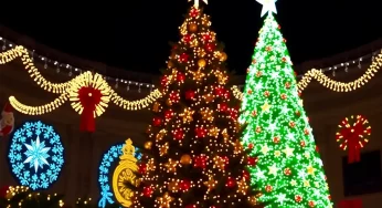 Festive Spirit Soars in Stonewall with the World’s Tallest Christmas Tree!