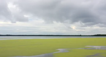 Shreveport Residents Face Water Quality Concerns